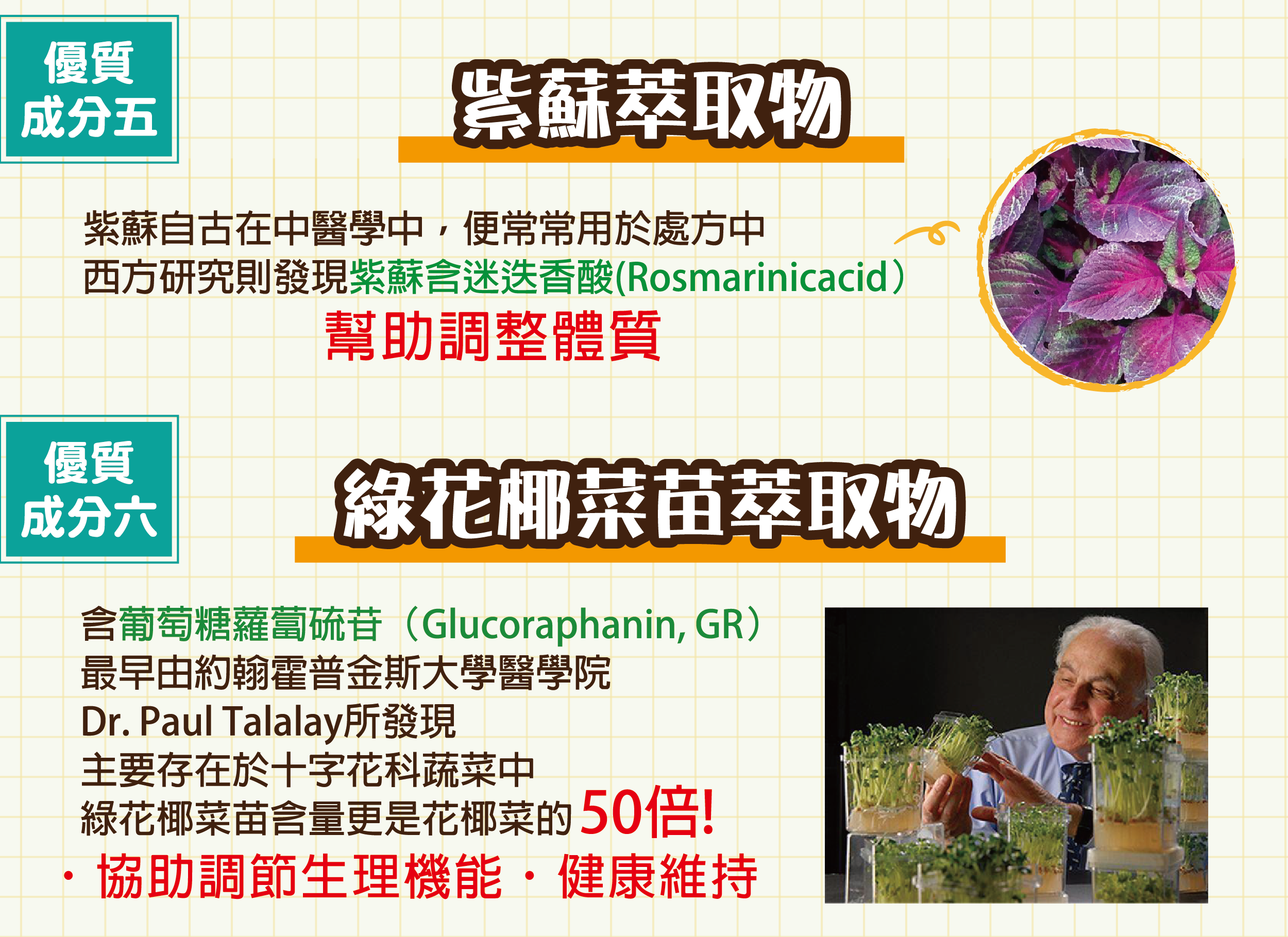 DH恆隆生技/第七代敏之素益生菌/紫蘇萃取物/調整體質/花椰菜苗萃取物/維持健康