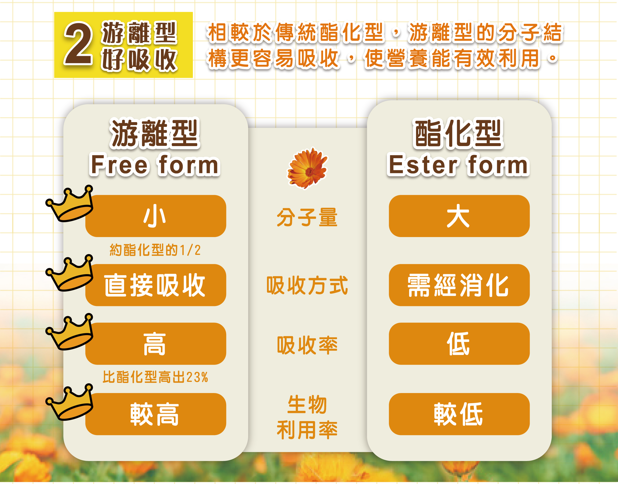 DH恆隆生技/評價/晶速晰/足量葉黃素/足量玉米黃素/蝦紅素/玻尿酸/透明質酸鈉/晶亮有神/游離型好吸收/花青素